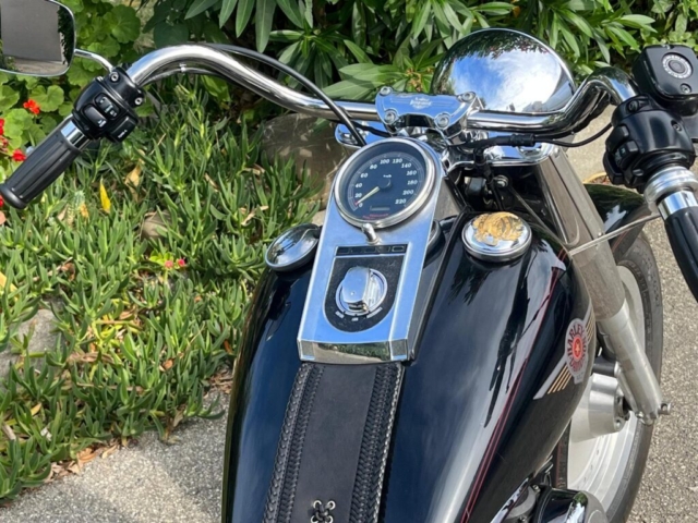 stefanhead harley davidson usate rimini