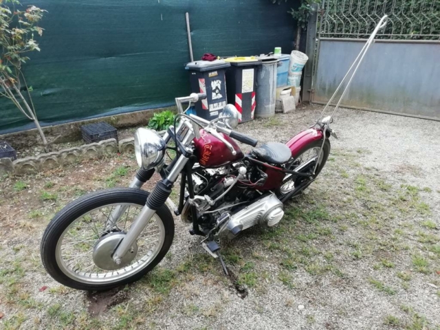 stefanhead harley davidson usate rimini