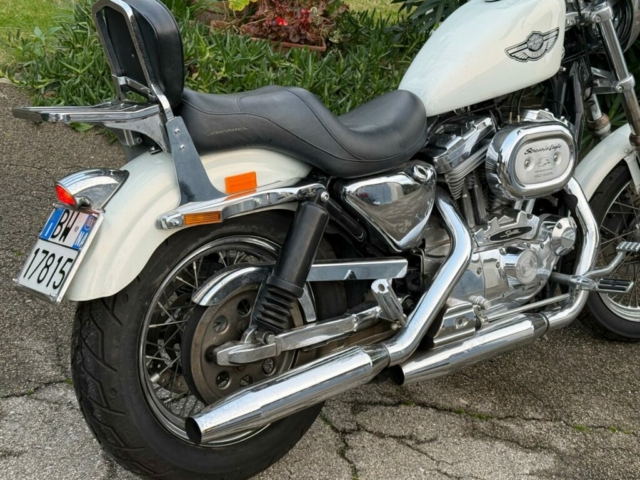 stefanhead harley davidson usate rimini