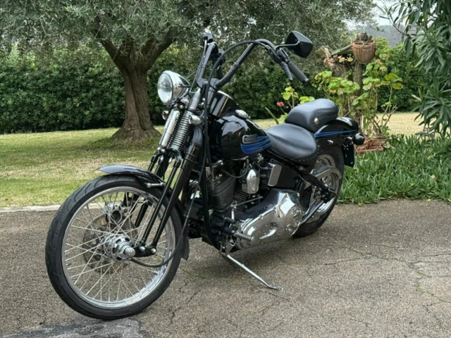 stefanhead harley davidson usate rimini