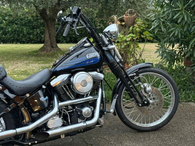 stefanhead harley davidson usate rimini