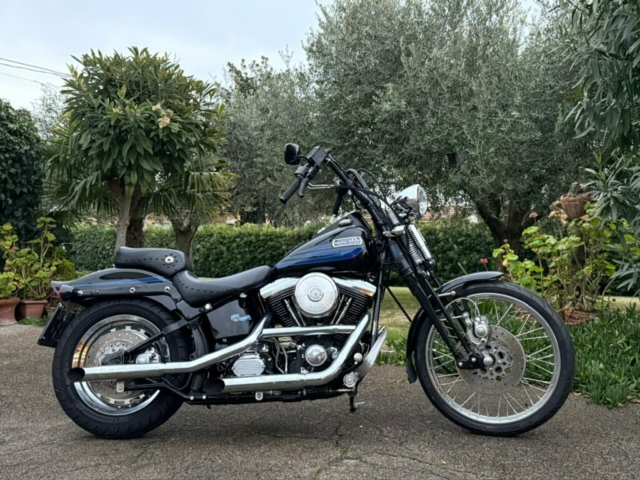 stefanhead harley davidson usate rimini