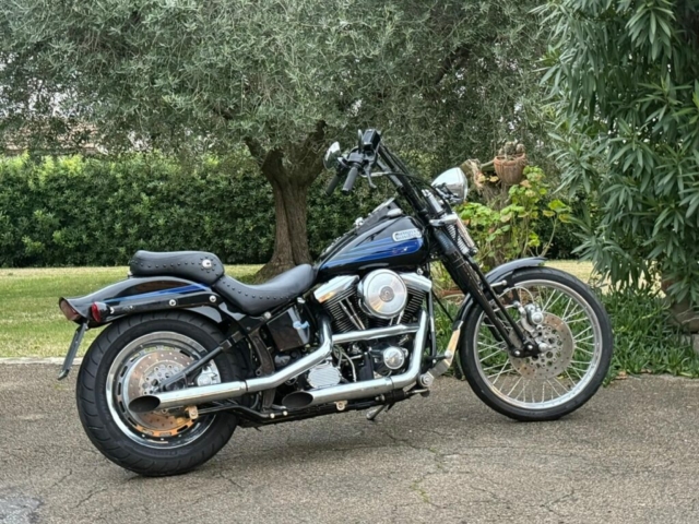 stefanhead harley davidson usate rimini