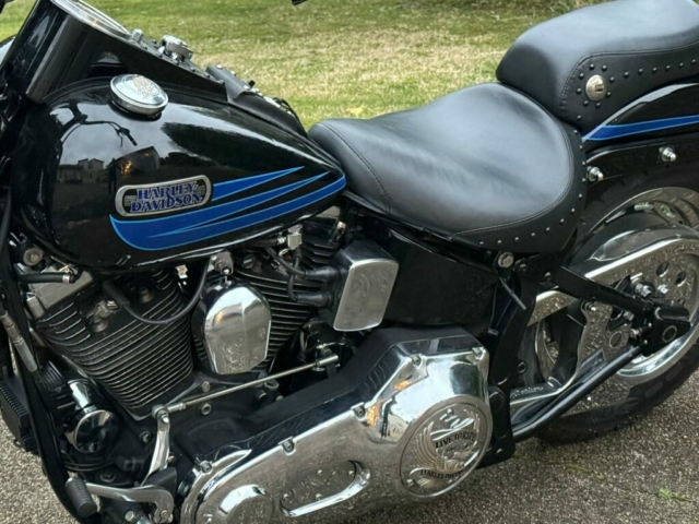 stefanhead harley davidson usate rimini