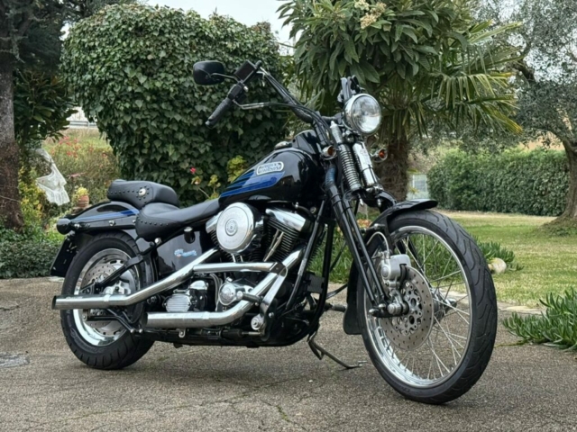 stefanhead harley davidson usate rimini