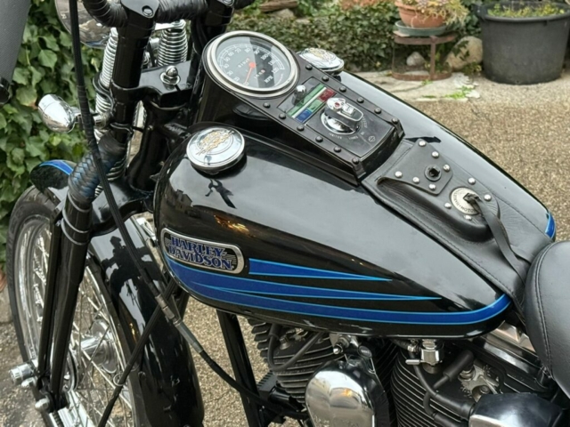 stefanhead harley davidson usate rimini