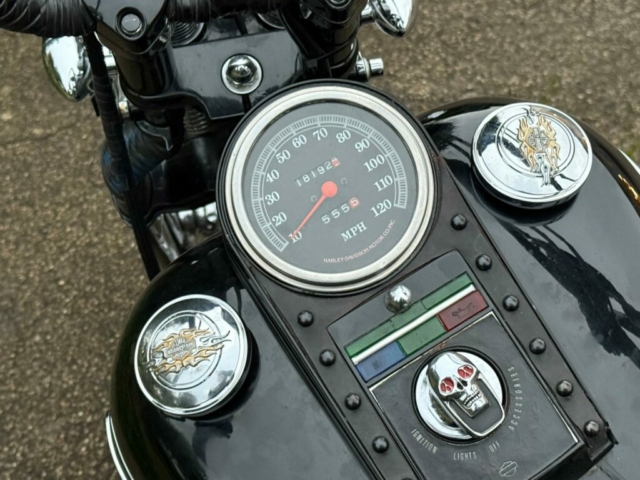 stefanhead harley davidson usate rimini