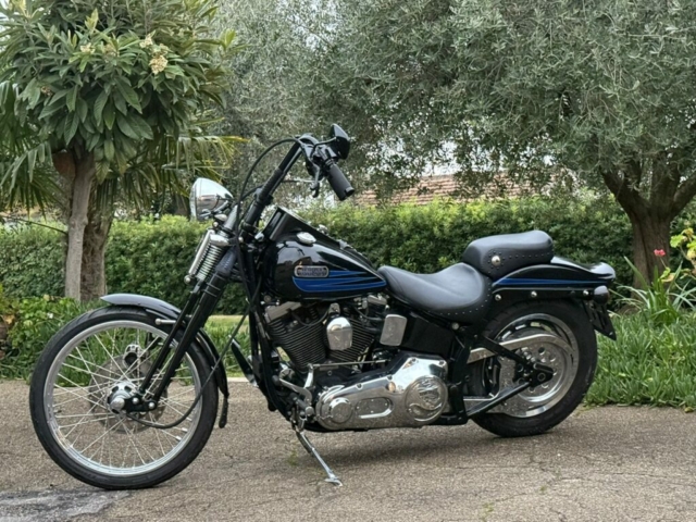 stefanhead harley davidson usate rimini