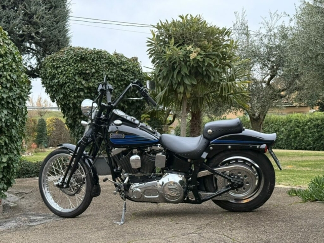 stefanhead harley davidson usate rimini
